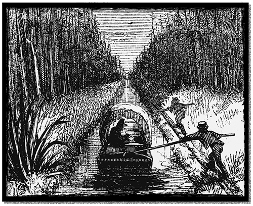 The Dismal Swamp Canal – Splash & Ripple - Moving North Carolina