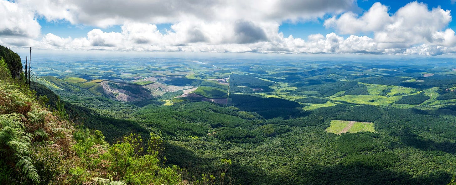 3rd Day: Johannesburg - Mpumalanga - Kruger National Park