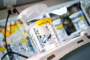 The biomaterial is based on a hydrogel developed at UC San Diego.