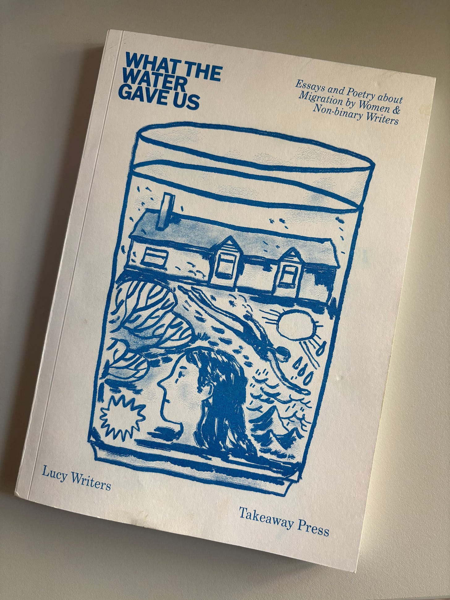 What the Water Gave Us: Essays and Poetry about Migration by Women and Non-Binary Writers (Takeaway Press: 2022). My own slightly battered copy of the book!