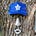 WS Rancher's avatar