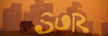 The SUR Experience