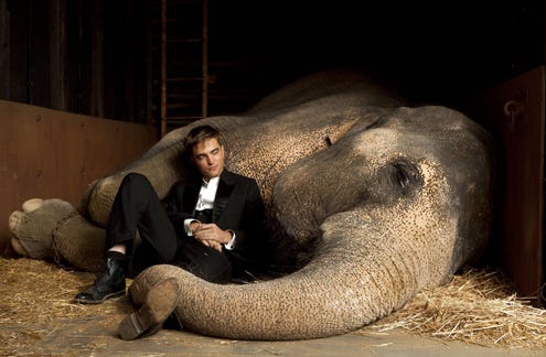 WATER FOR ELEPHANTS