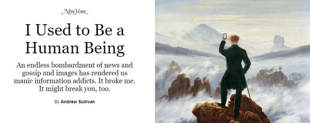 I Used to Be a Human Being PDF Summary - Andrew Sullivan