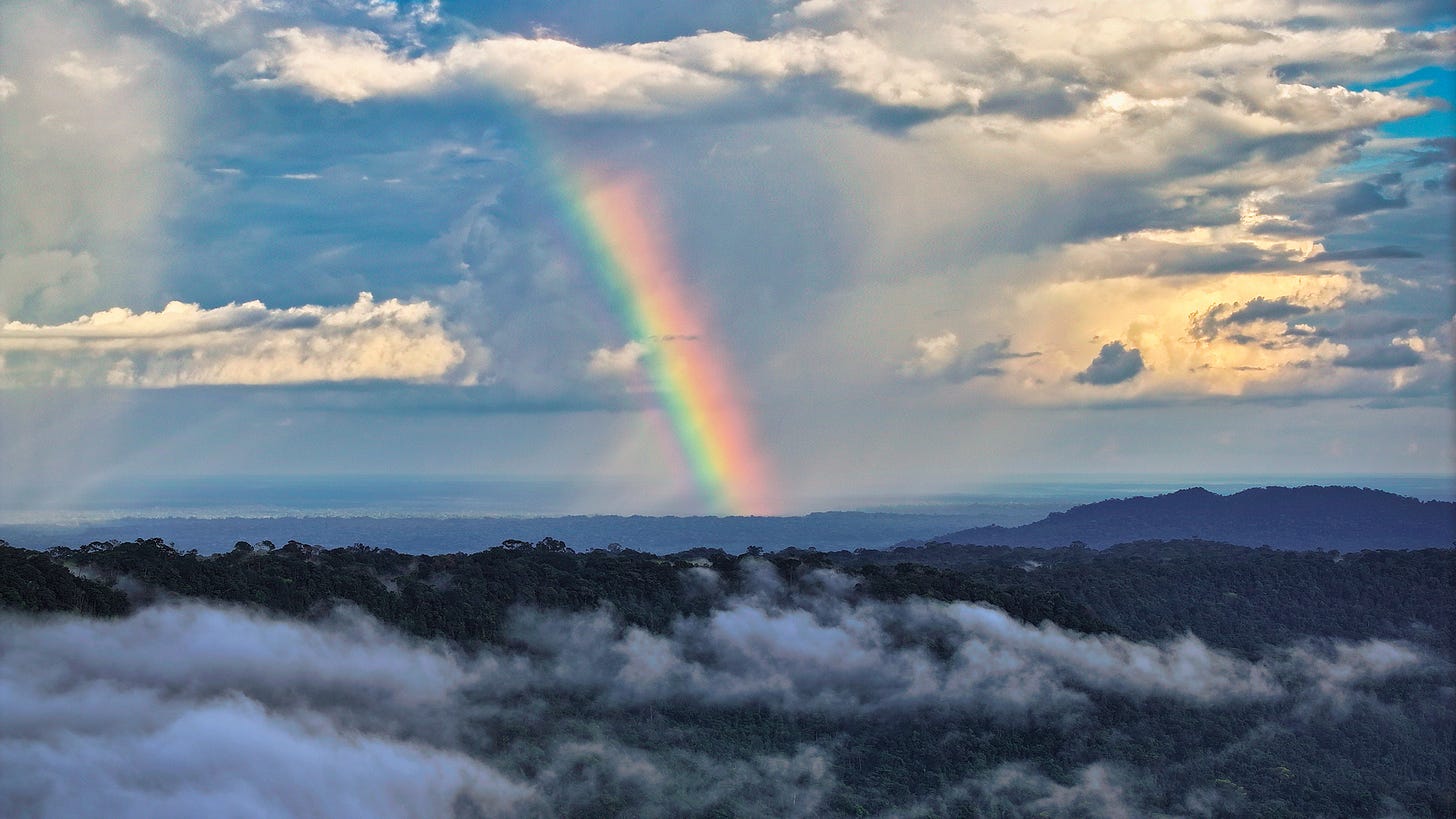 Rainbow over the Amazon rainforest. Photo by Rhett Ayers Butler