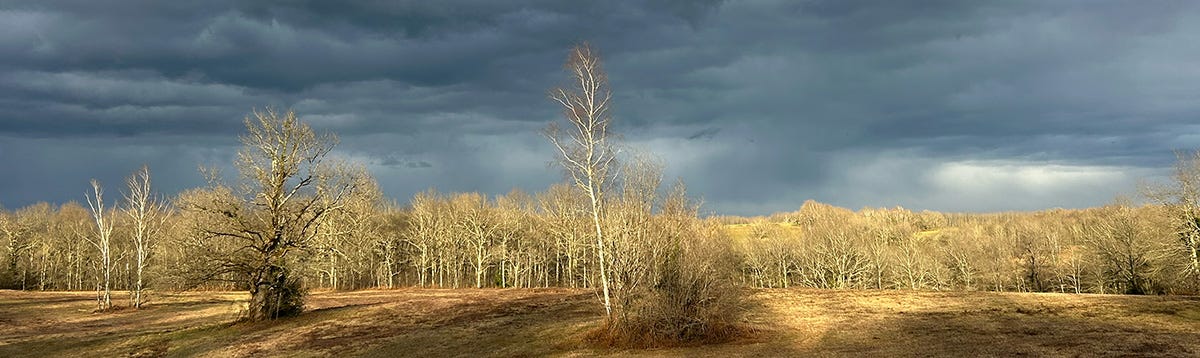 Eaux et forêts, une source encore vivante