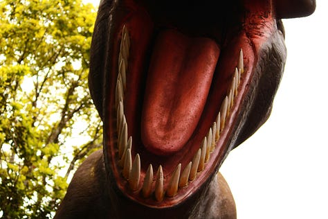 three dinosaur photos, #1 is just a giant open mouth against some out of focus trees in the background, #2 has two dinosaur heads on either side of the frame with mouths open against a black background - it looks like they’re laughing, #3 shows a dinosaur head against a blue to grey background in profile with an orange eye that appears to be looking at the viewer.