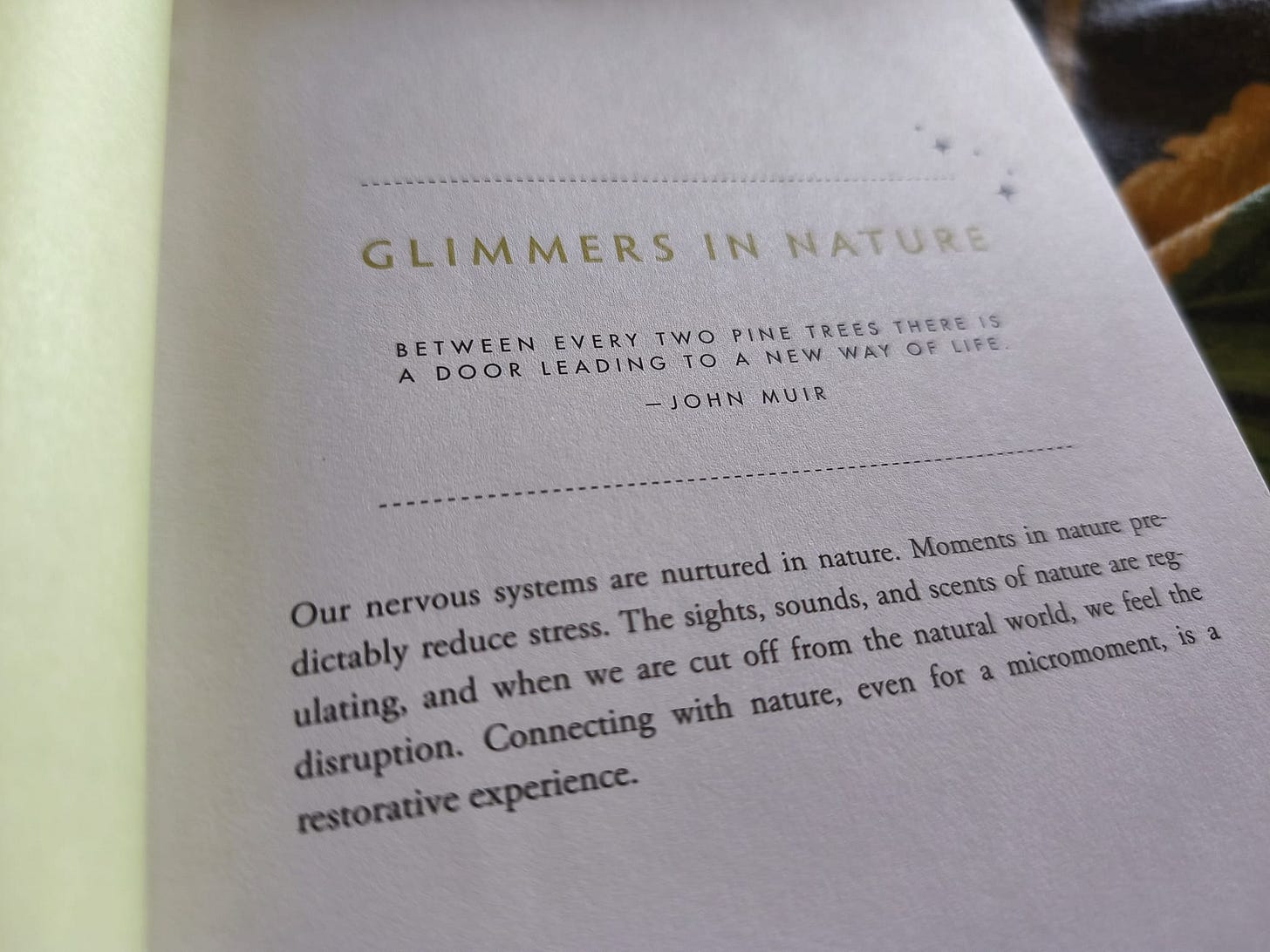 Glimmers in nature header page from Deb Dana's Glimmers Journal