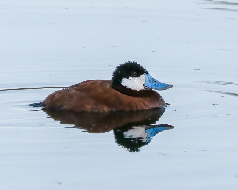 20250728-Sewailo-25-Edit.jpg 20250728-Sewailo-25-Edit.jpg