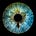 Matthew Gurewitsch's avatar