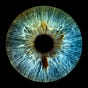 Matthew Gurewitsch's avatar