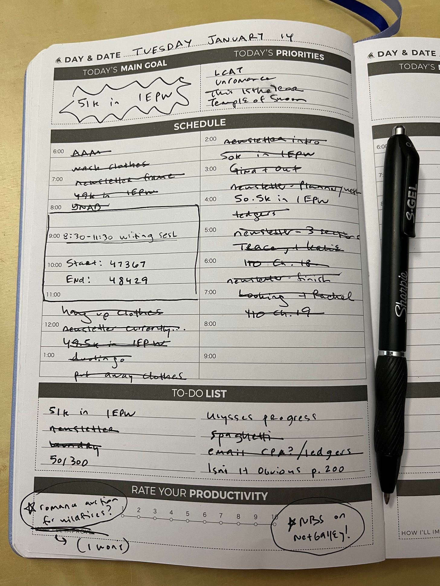 Photo of page from my daily planner, which shows all my crossed-out items, most of which are covered in the sections of this newsletter! Photo of page from my daily planner, which shows all my crossed-out items, most of which are covered in the sections of this newsletter!