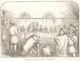Animals as Defendants