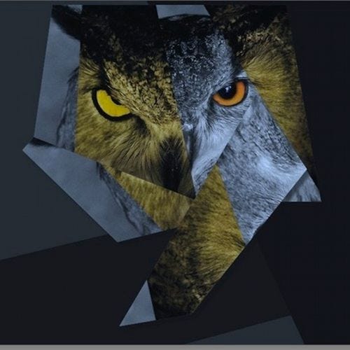  photo Drake-5AM-In-Toronto_zps25b2ed8d.jpg