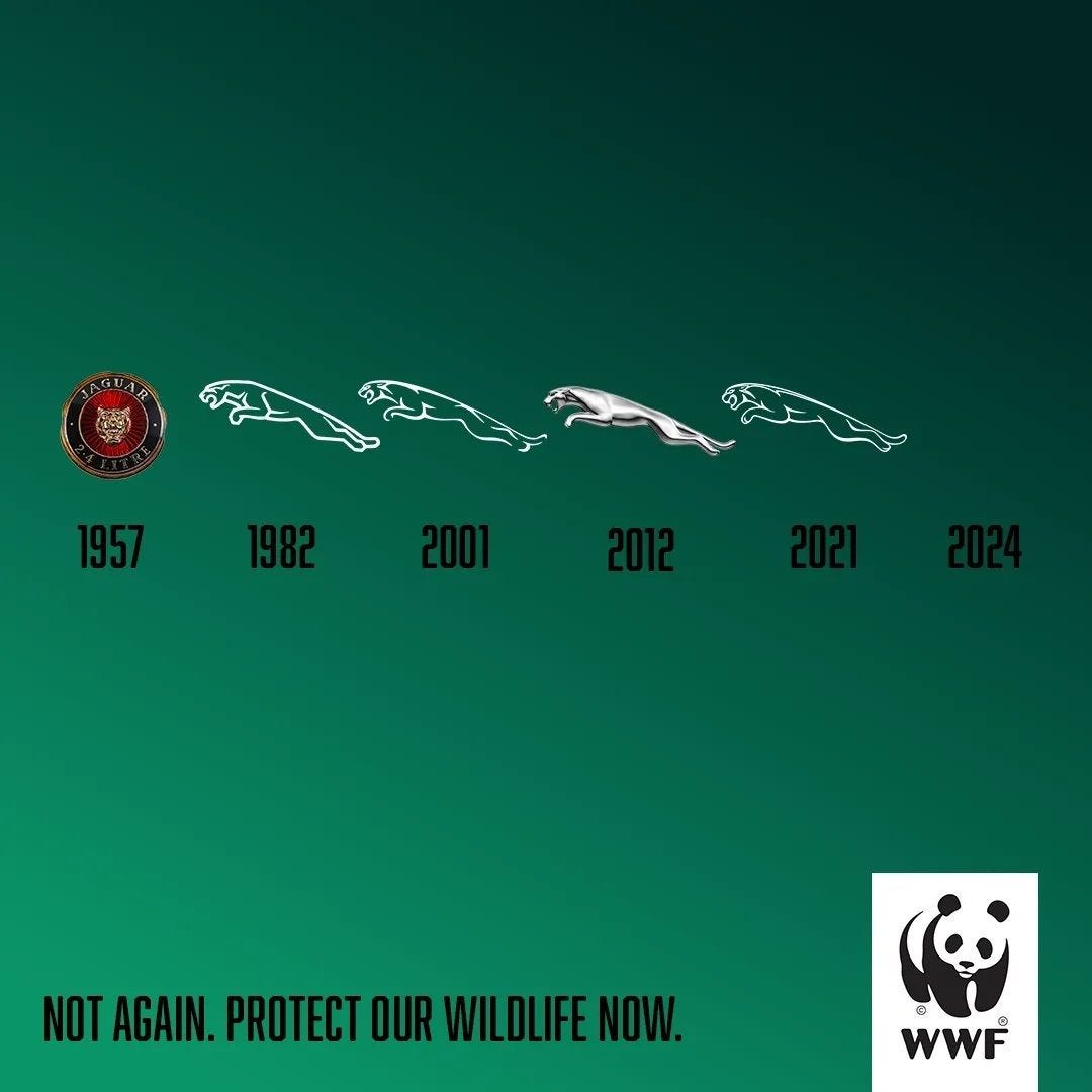 A series of logos in a row across the centre, showing the progression of the jaguar brand from 1957 until 2024, ending with the absence of the image. The background is a deep green, with text at the bottom reading 'Not again. Protect our wildlife now.' The WWF logo showing Chi Chi the panda is included at bottom-right.