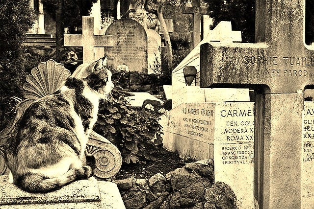 Keats fading in Rome “…the voice I hear this passing night…” –  ROME•IMAGINED•OBSERVED