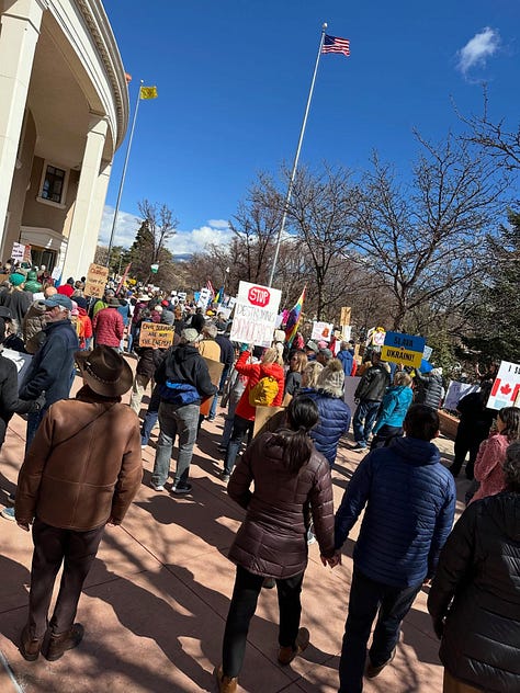 Several photos of protesters around the country with signs opposing the Trump administration and Elon Musk