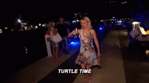 Turtle Time GIF - Turtle Time GIFs Turtle Time GIF - Turtle Time GIFs