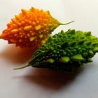 Cold temperate Bitter Melons