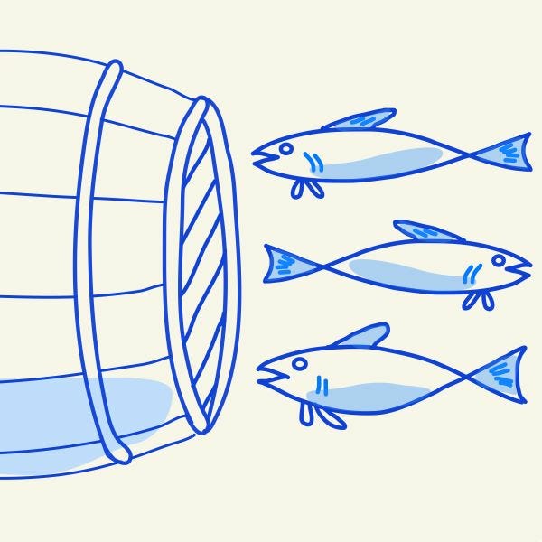 Port & Sardines Substack