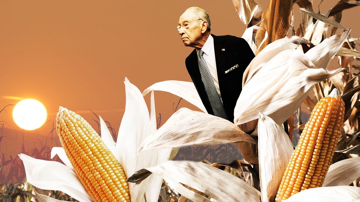 Iowa Wonders: What Happens If Grassley Dies?