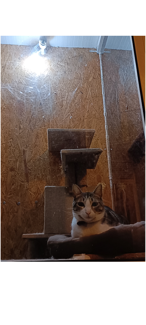 A night stroll through a Portuguese village