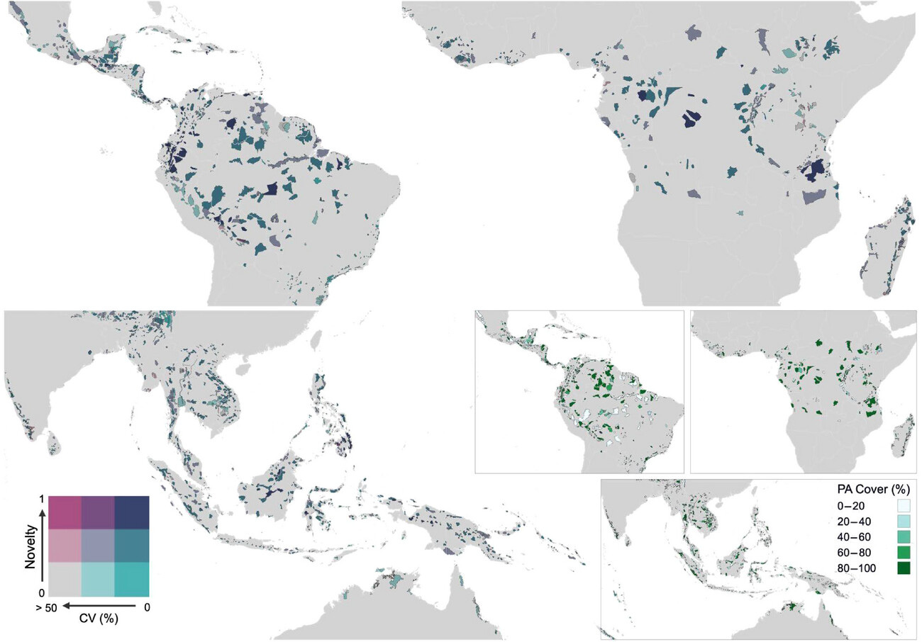 Map of Key Biodiversity Areas (KBAs) across tropical forests, showing average annual temperature novelty (2005–2019). Dark purple areas indicate where temperatures have shifted the most and where KBAs are likely facing the greatest ecological risk. Inset maps on the right show protected area coverage (%) for each KBA.