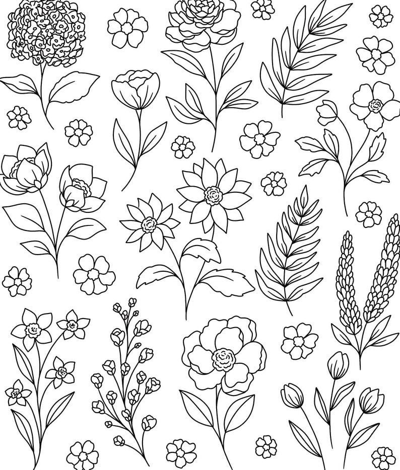 May include: A collection of black and white line drawings of various flowers and leaves. The drawings are simple and elegant, and would be perfect for use in a variety of creative projects.