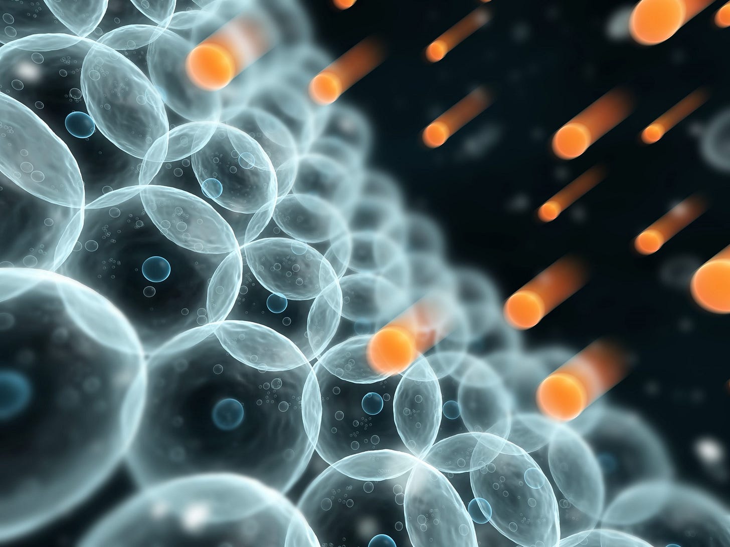 A powerful natural antioxidant - All About Feed