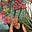 Sharon Gilbert's avatar