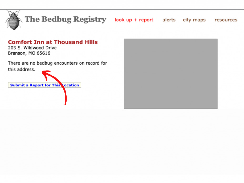 Use This Tool to Check Your Hotel for Bed Bugs