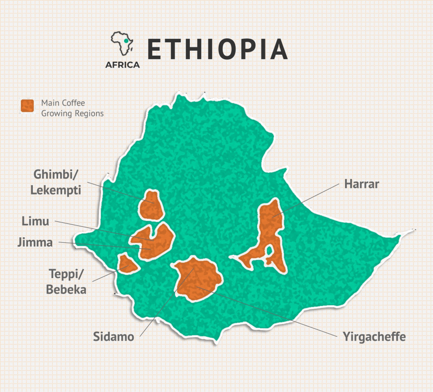 Ethiopian Coffee: The COMPLETE Guide (+Tasting Notes) 2020