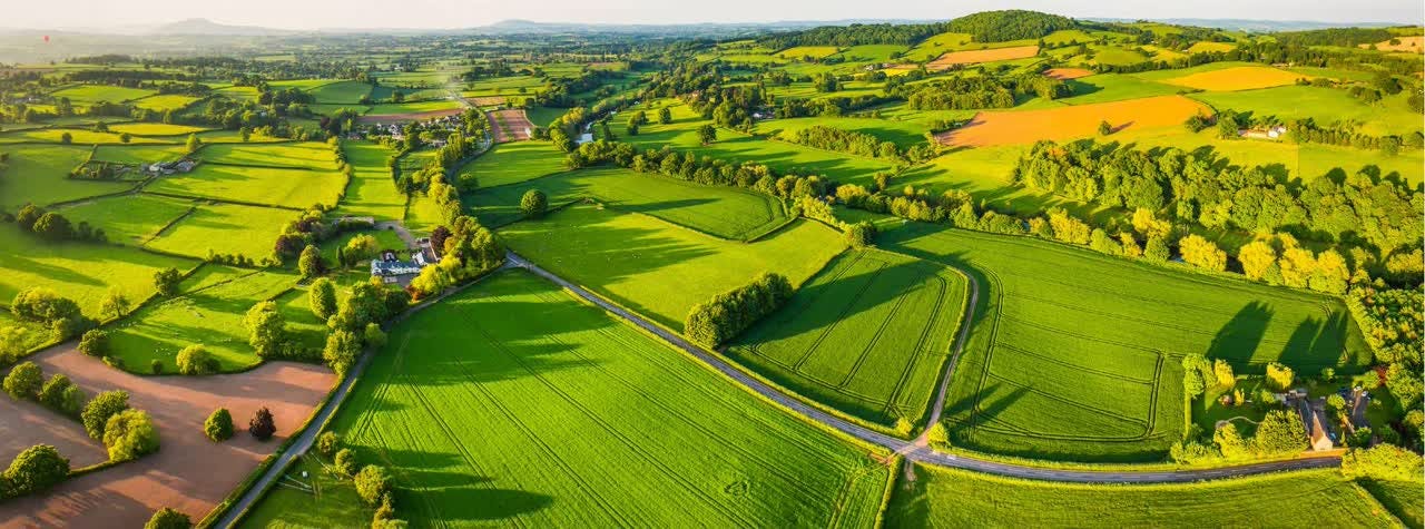Savills Blog | Farmland investment: as safe as houses, but with better returns