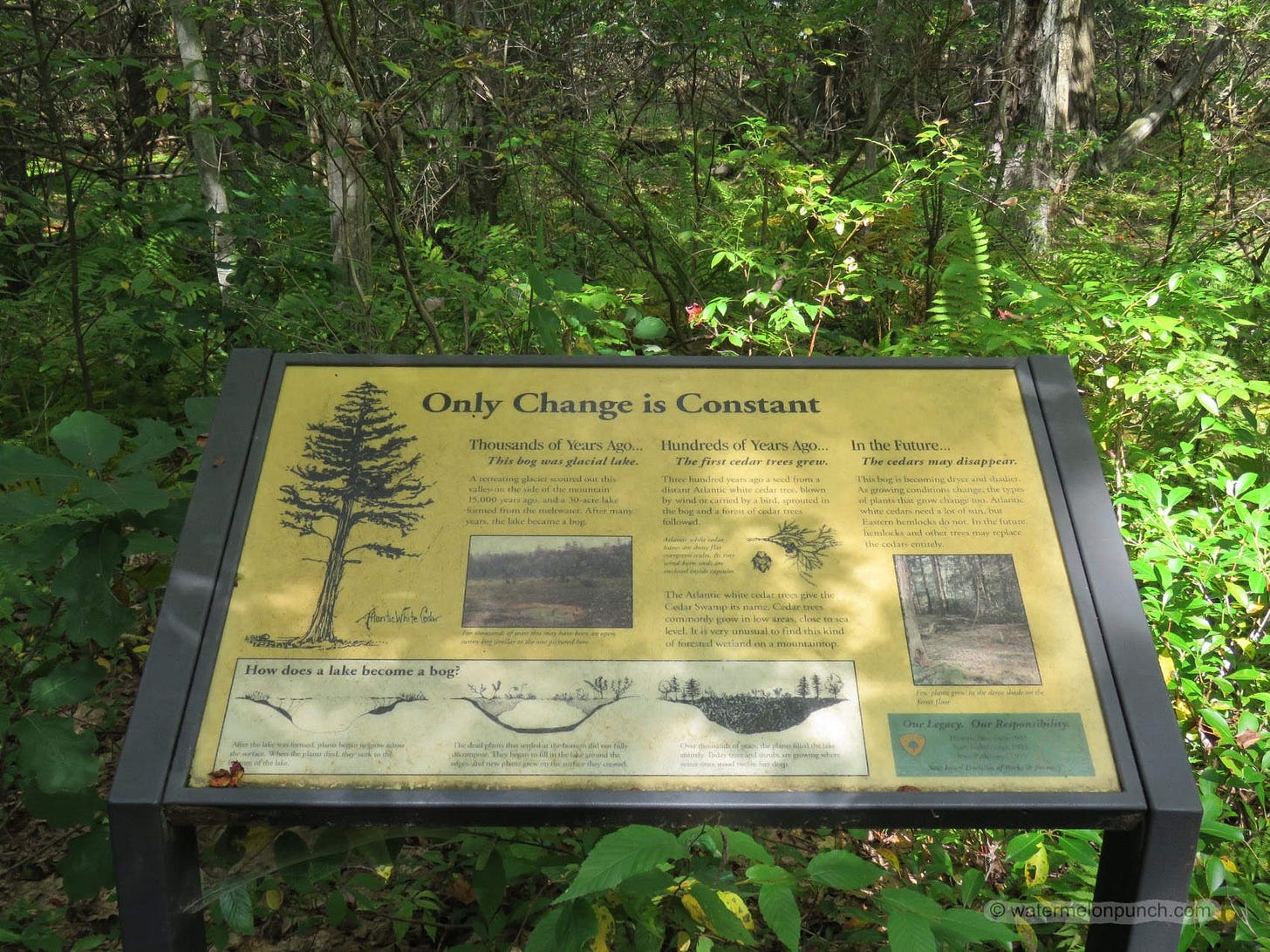Photo of a trail information interpretive sign with the heading stating “Only Change is Constant” surrounded by green bushes, trees, and ferns. Photo of a trail information interpretive sign with the heading stating “Only Change is Constant” surrounded by green bushes, trees, and ferns.