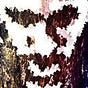 Mike Wojnikiewicz's avatar