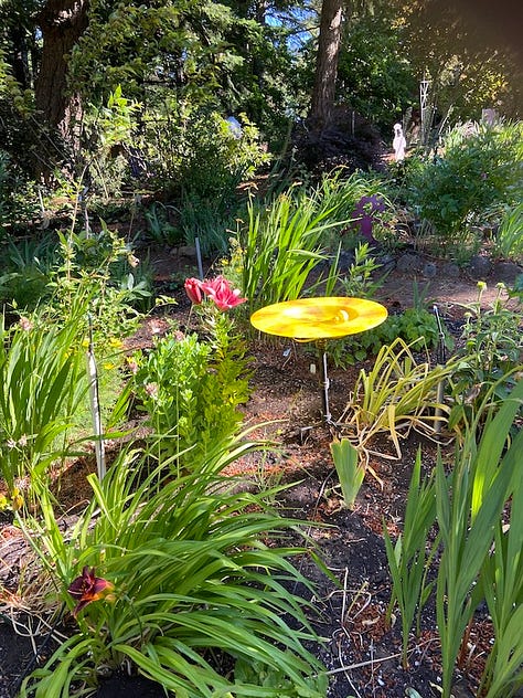 Garden Party photos