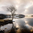 Literature review: Toxicology of acetaminophen / paracetamol