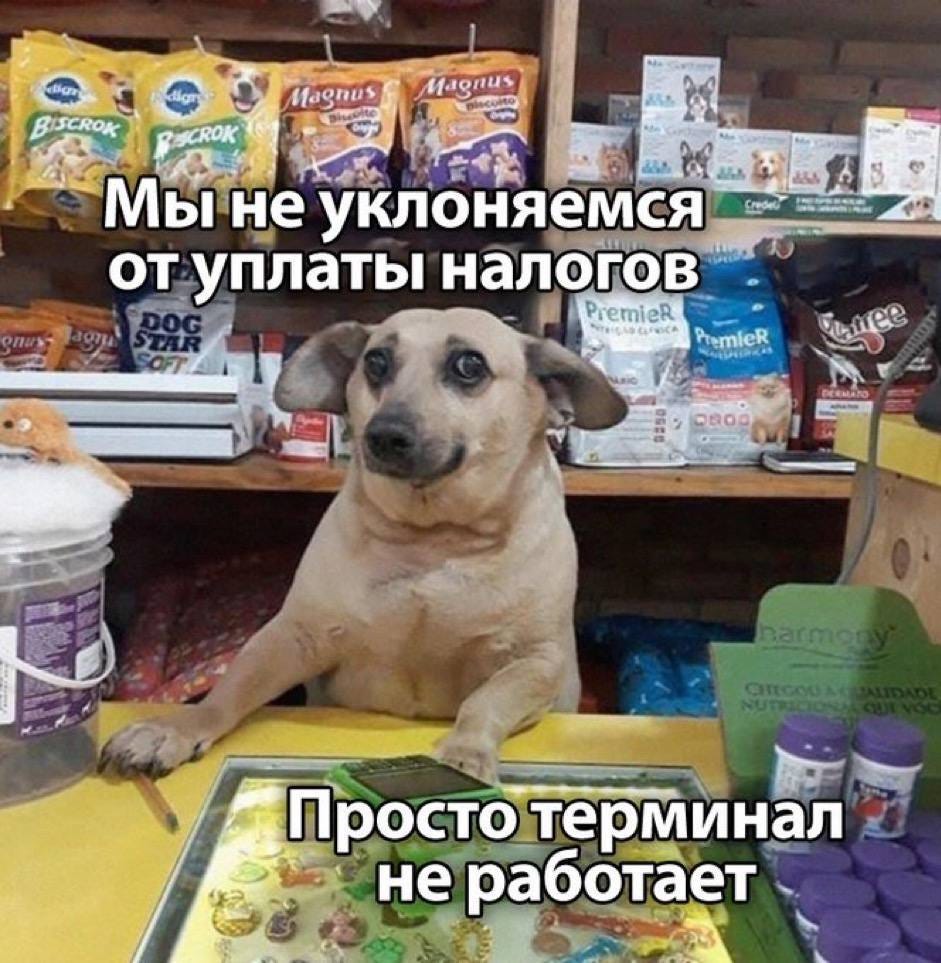 А вы еще спрашиваете – почему малый бизнес так любит оплату наличкой… 
