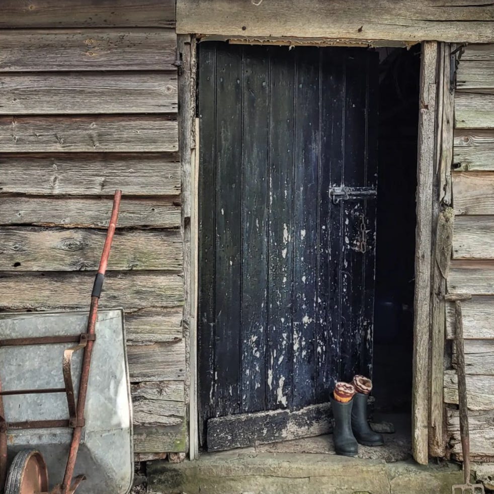 Elle @ Ridge & Furrow