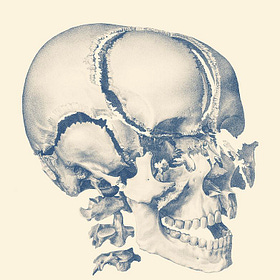 A Unified Theory of The Face