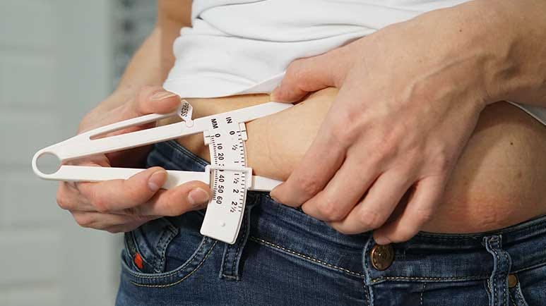 visceral fat metabolism cancer risk