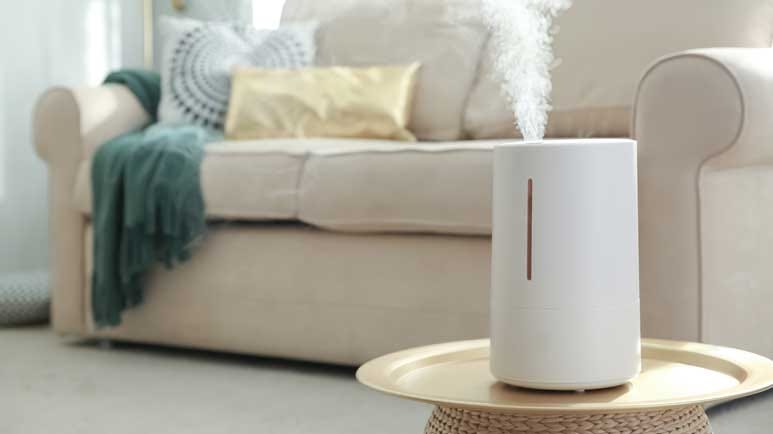 humidifier winter dry skin