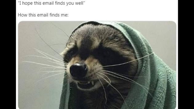 I hope this email finds you well' memes are hilariously relatable. Seen  them yet? | Trending - Hindustan Times