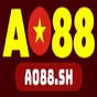 ao88's avatar