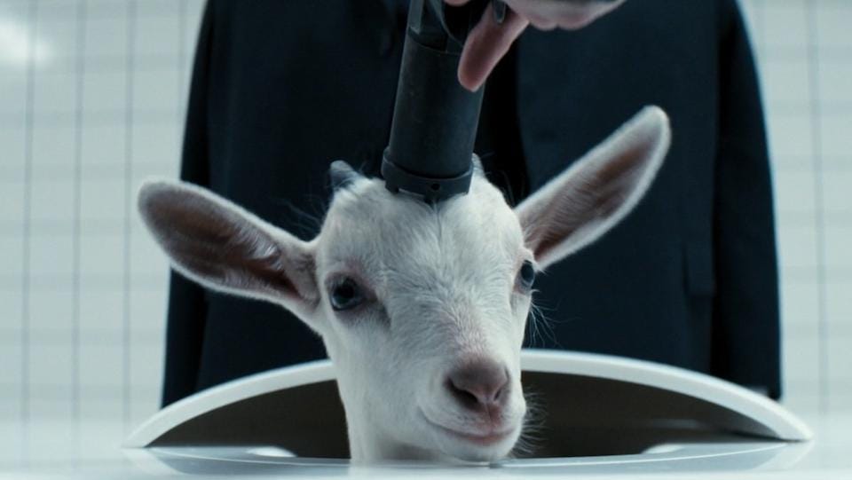 SEVERANCE Season 2 Finale Recap: New Revelations and Questions From 'Cold  Harbor'