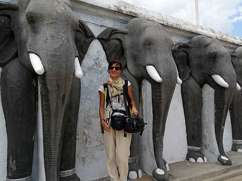 Woman standing in front of a wall with carved elephant statues
