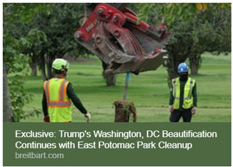 The image shows a worker in a reflective vest and a hard hat operating a large, mechanical tree trimming machine, working on the East Potomac Park in Washington, DC, as part of a beautification project. AI-generated content may be incorrect.