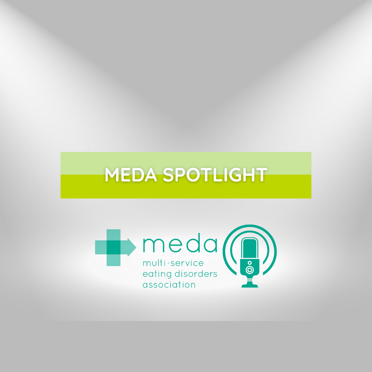 MEDA Spotlight 