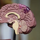 Work is the best medicine for Britain's mental health crisis
