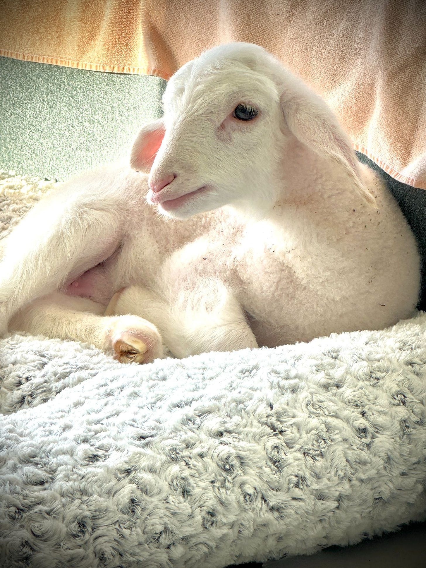 Woolley, staying close